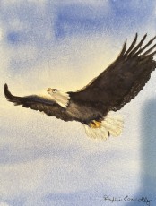 Christopher's Eagle