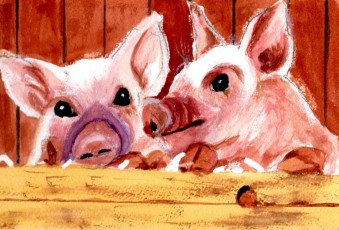 The Pigs